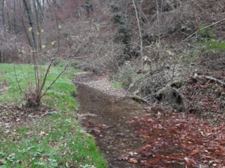 Asche verstreuen im Bachtobel - Feldmeilen Herrliberg - Trauerredner - Zen Meister Reding