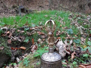 Asche verstreuen im Bachtobel - Feldmeilen Herrliberg - Trauerredner - Zen Meister Reding