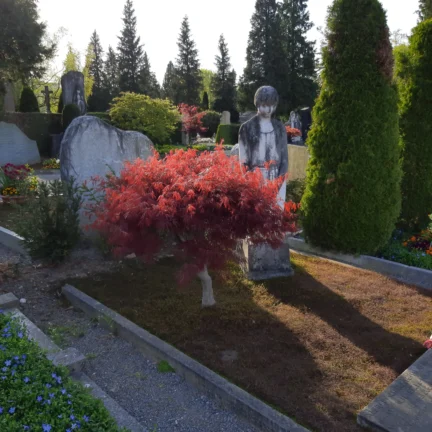 Meditation Luzern im Friedhof - Abt Reding