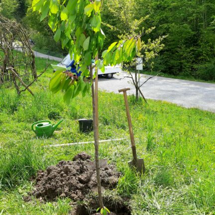 Trauerfeier in Zürich mit Trauerredner - Zen Meister Vater Reding