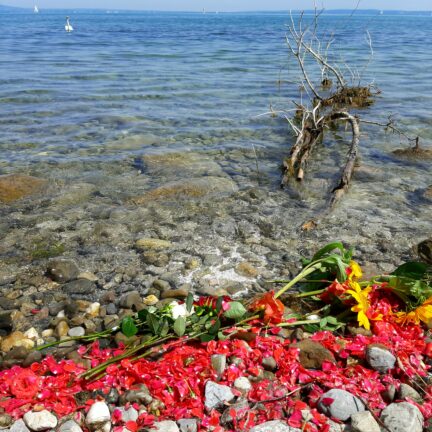 Bodensee Region - Asche verstreuen - Beerdigung mit Trauerredner - Zen Meister Vater Reding