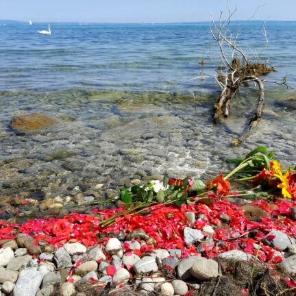 Bodensee Region - Asche verstreuen - Beerdigung mit Trauerredner - Zen Meister Vater Reding