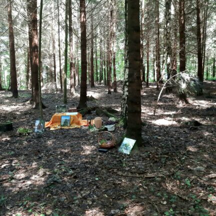 Friedwald - Abschiedsfeier und Beisetzung in Bischoffszell mit Trauerredner - Zen Meister Vater Reding