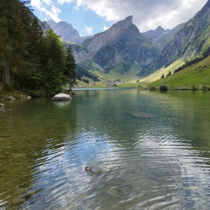 Alpstein - Appenzell - Säntis - Seealpsee - Trauerredner für die Beerdigung