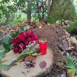 Beisetzung im Friedwald mit Trauerredner Vater Reding