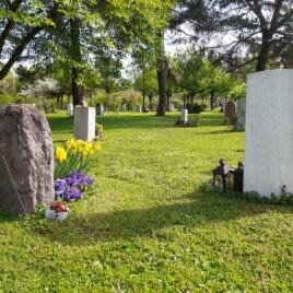 Beisetzung im engsten Familienkreis mit Trauerredner Zen Meister Vater Reding