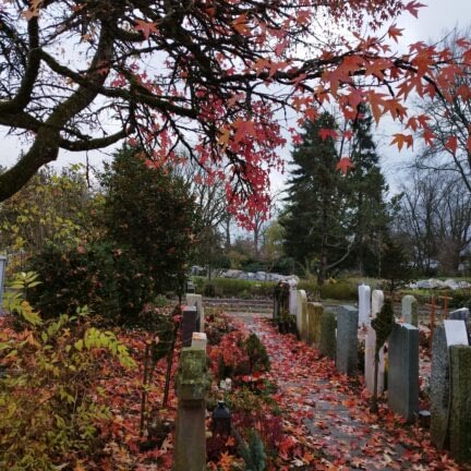 Trauerfeier in der Stadt Zürich - Friedhof Hönggerberg mit Trauerredner - Zen Vater Meister Reding