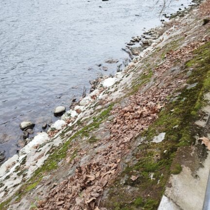 Asche verstreuen am Fluss - Limmat Baden - Trauerredner - Zen Meister Vater Reding