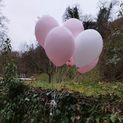 Asche verstreuen am Fluss - Limmat Baden - Trauerredner - Zen Meister Vater Reding