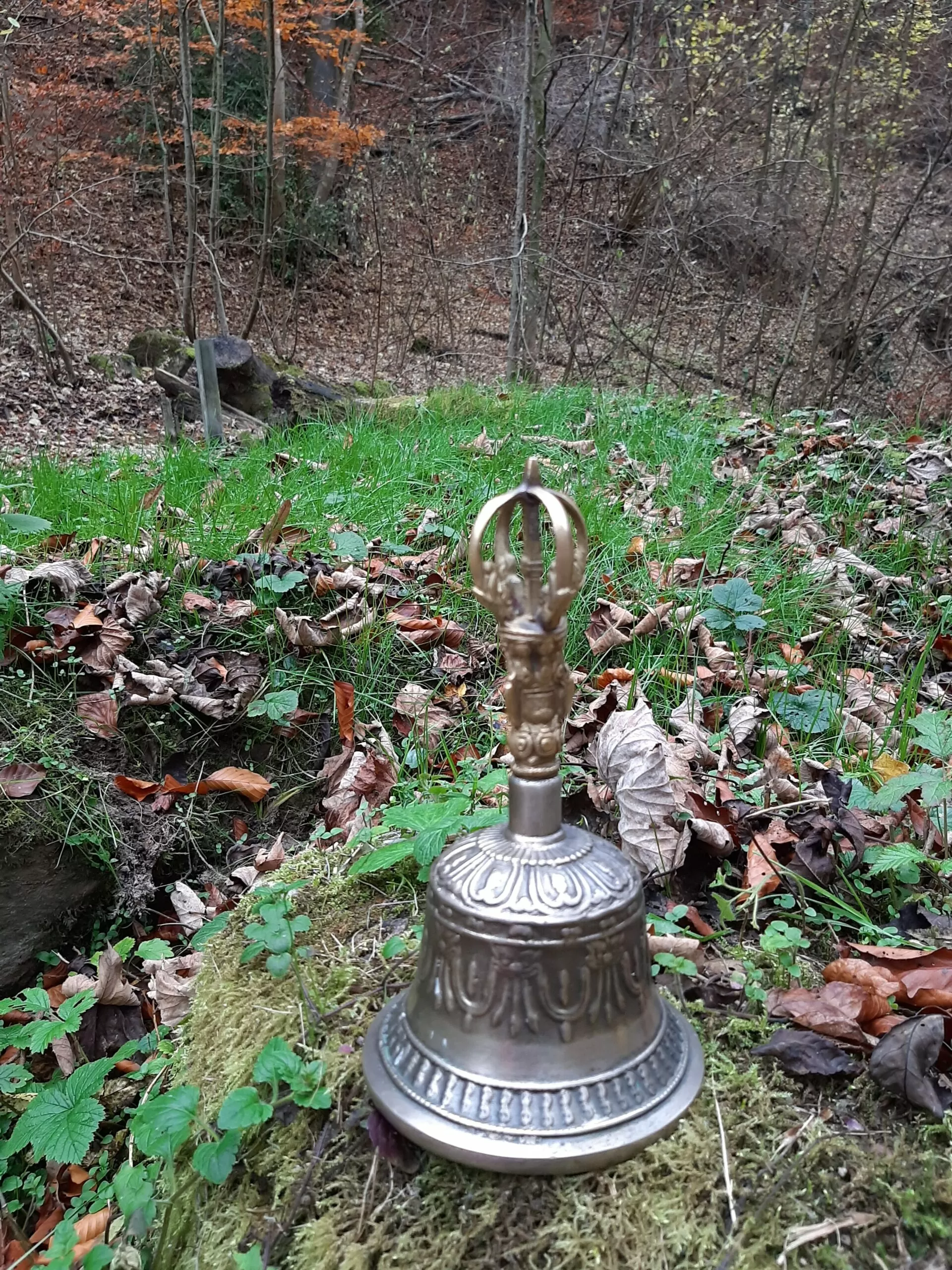 Asche verstreuen im Bachtobel - Feldmeilen Herrliberg - Trauerredner - Zen Meister Reding