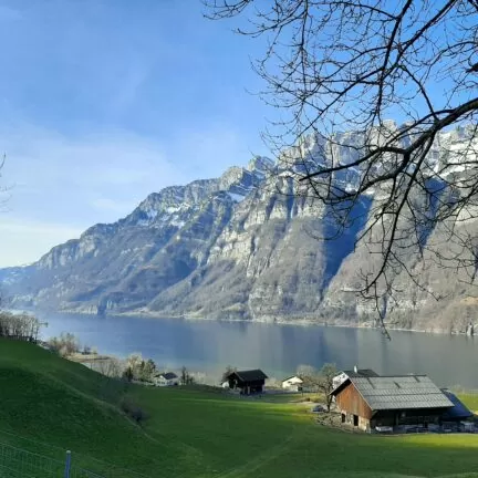 Trauerredner in der Region Walensee - Zen Vater Meister Reding