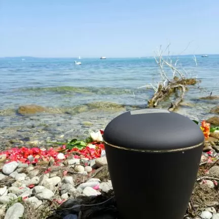Bodensee Region - Asche verstreuen - Beerdigung mit Trauerredner - Zen Vater Meister Reding