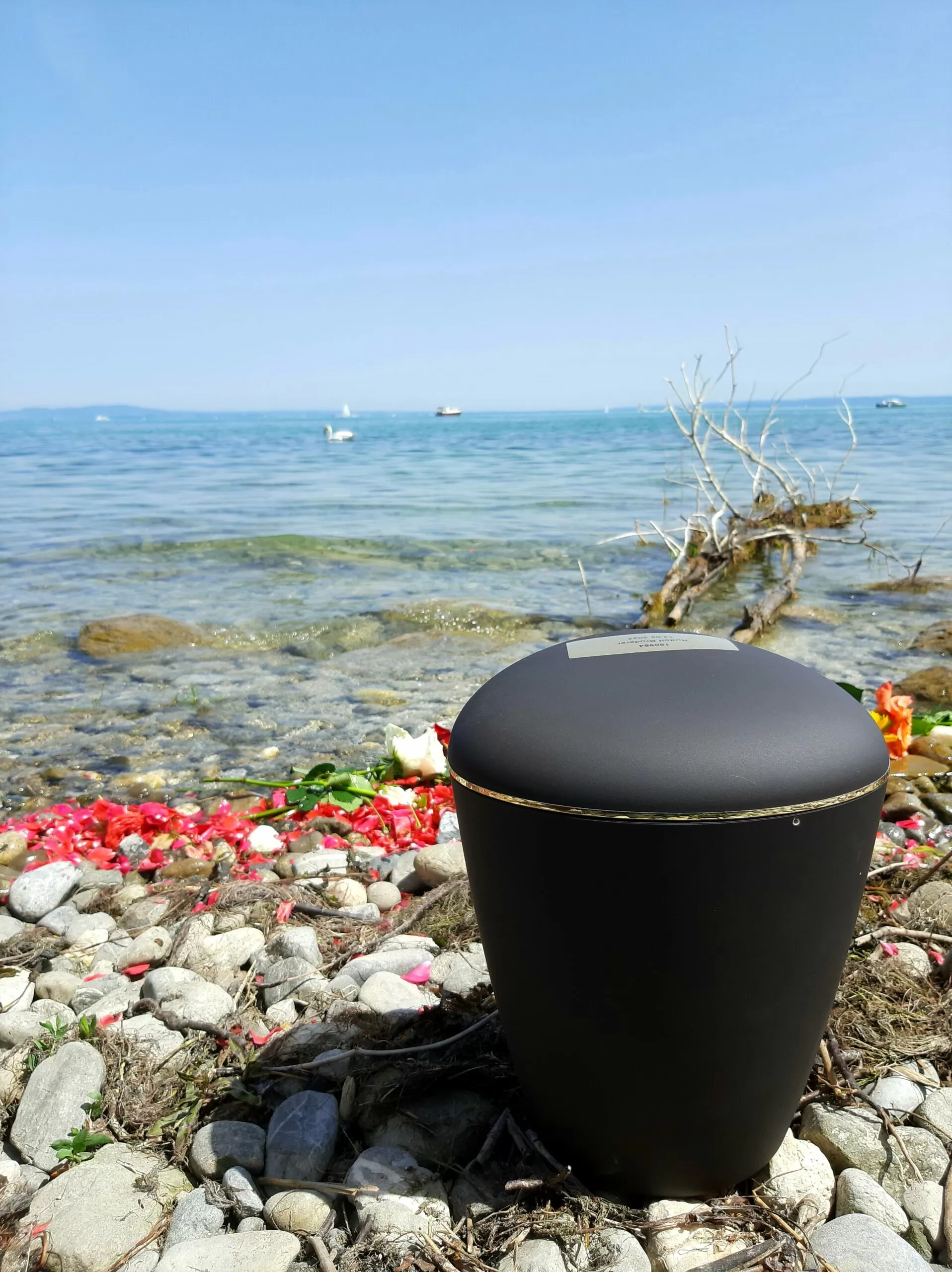 Bodensee Region - Asche verstreuen - Beerdigung mit Trauerredner - Zen Vater Meister Reding