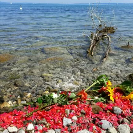Bodensee Region - Asche verstreuen - Beerdigung mit Trauerredner - Zen Vater Meister Reding