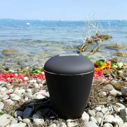 Bodensee Region - Asche verstreuen - Beerdigung mit Trauerredner - Zen Vater Meister Reding