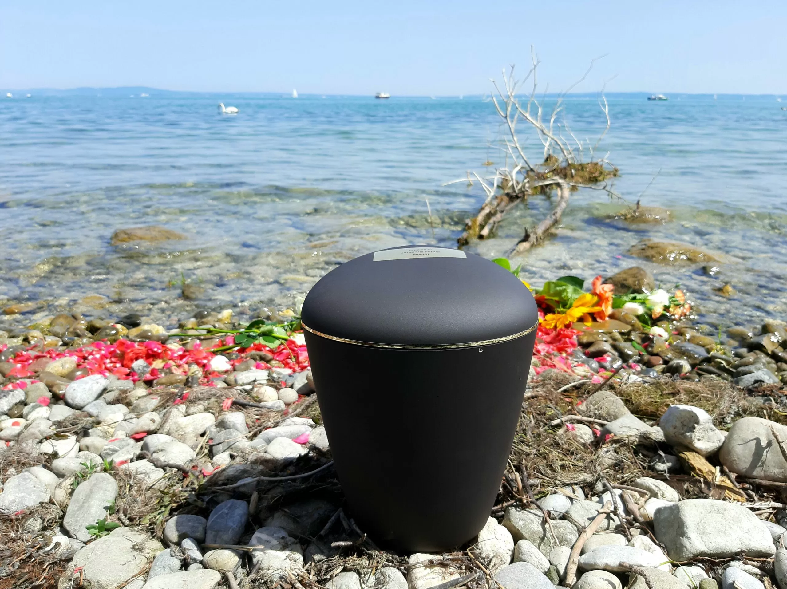 Bodensee Region - Asche verstreuen - Beerdigung mit Trauerredner - Zen Vater Meister Reding