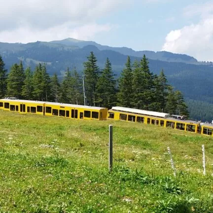 Grindelwald - Beerdigung und Abschiedsfeier bei Eiger, Mönch &amp; Jungfrau