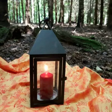 Naturbestattung im Wald mit Trauerredner - Zen Vater Meister Reding
