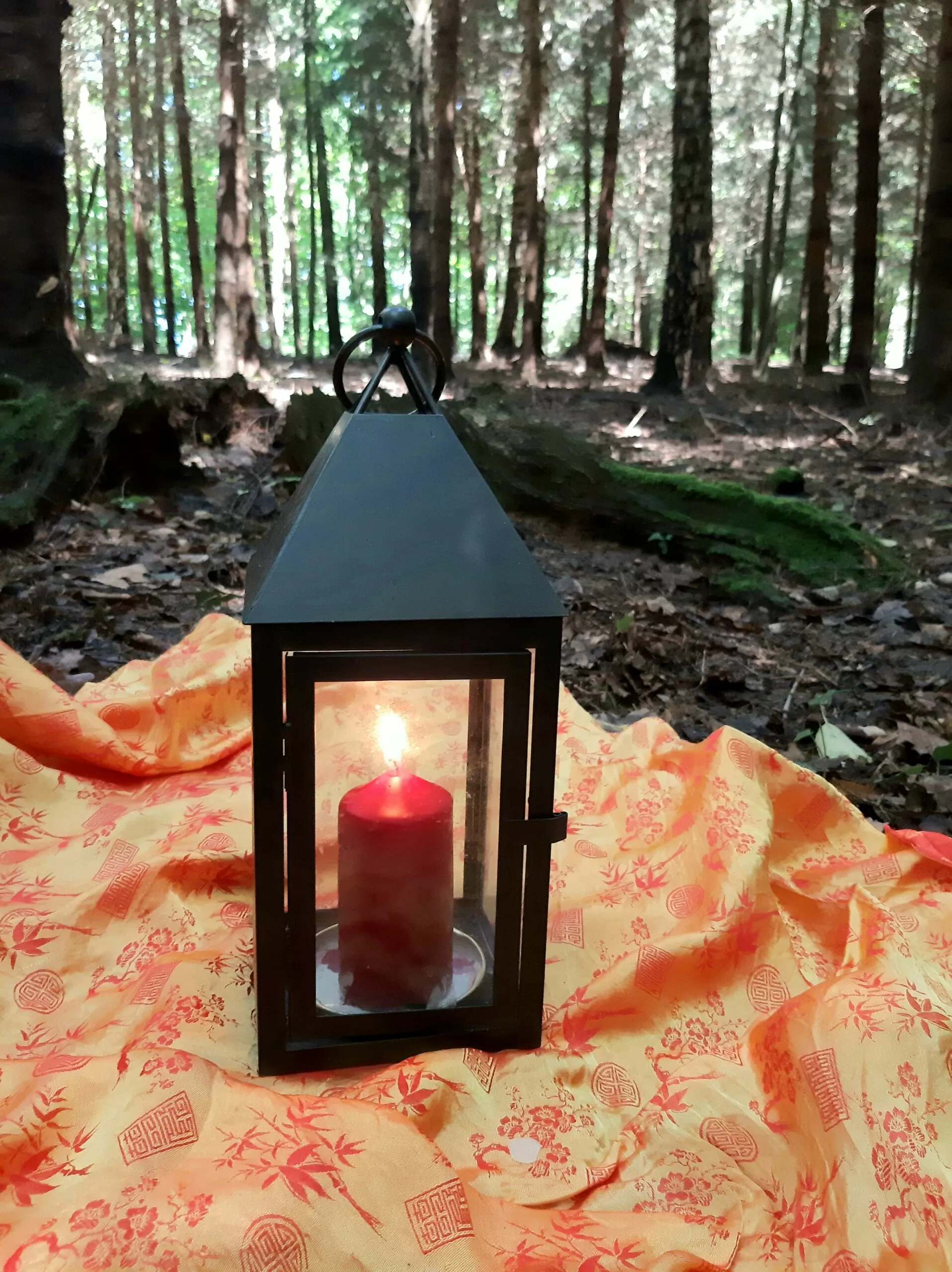 Gedenkzeremonie - 49. Todestag - Trauerprozess - Zen Meister Reding