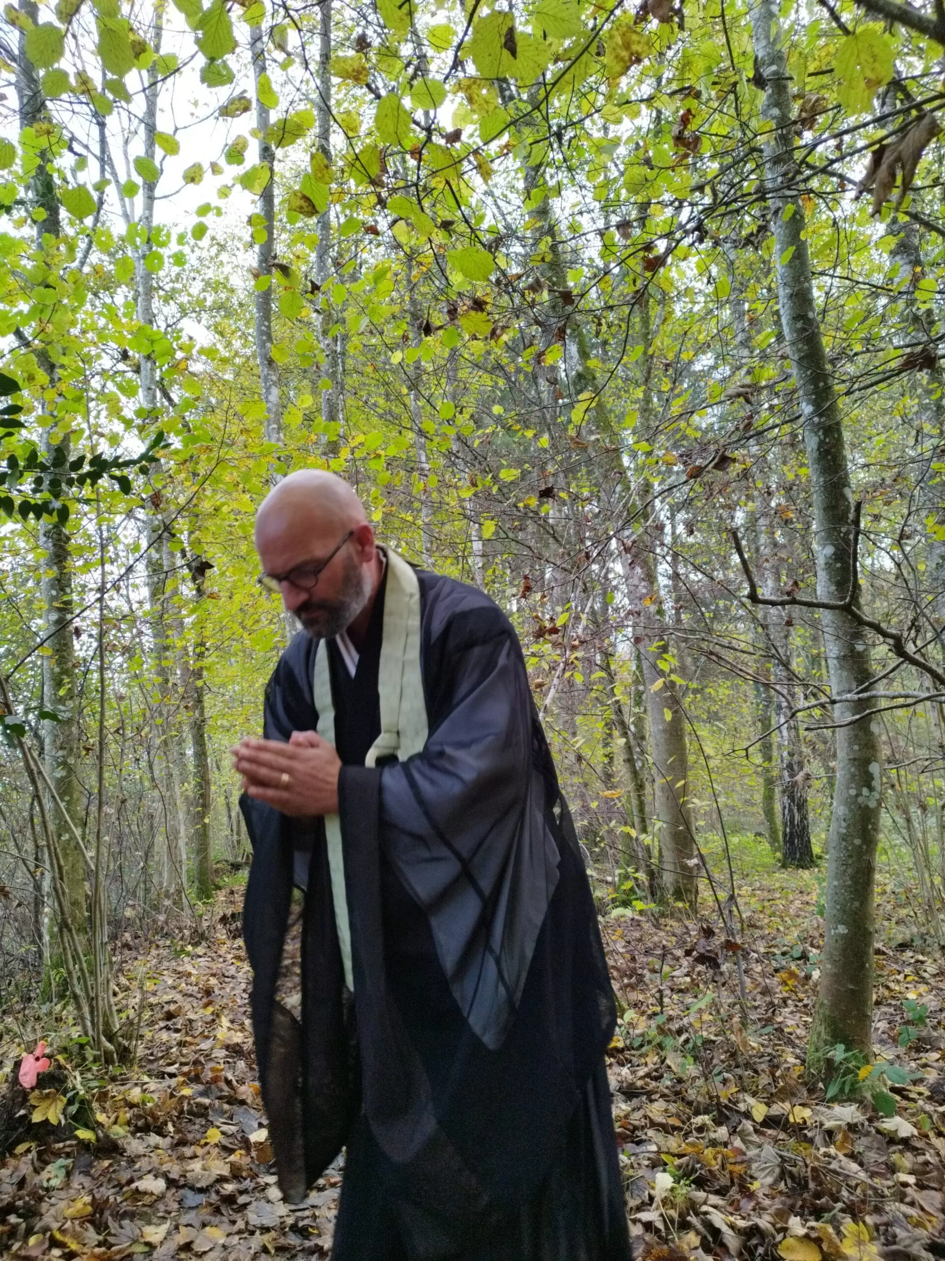 Beisetzung im Friedwald - Abschiedsfeier mit Bestattungsredner Zen Meister Reding