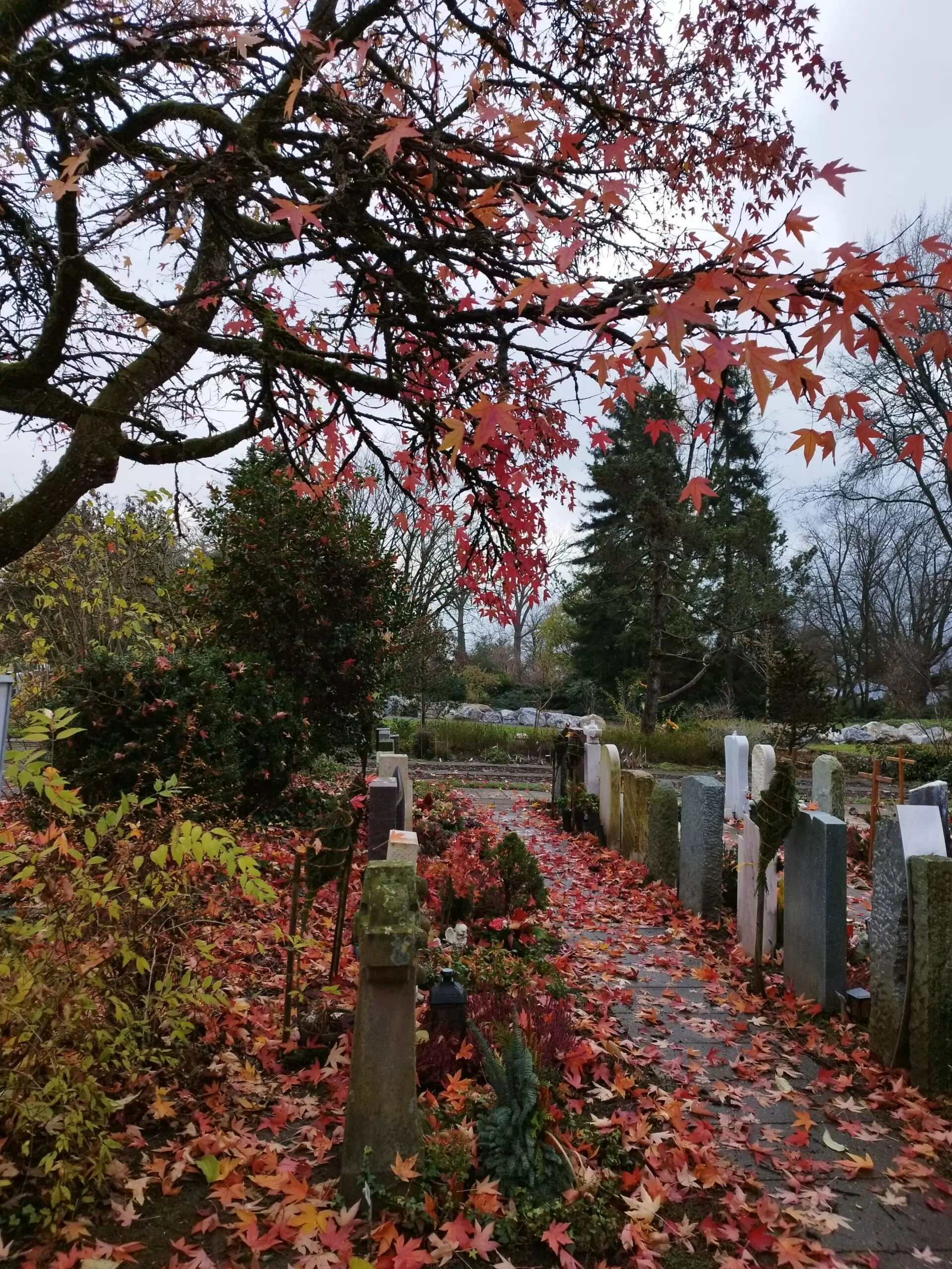 Trauerfeier in der Stadt Zürich - Friedhof Hönggerberg mit Trauerredner - Zen Meister Vater Reding