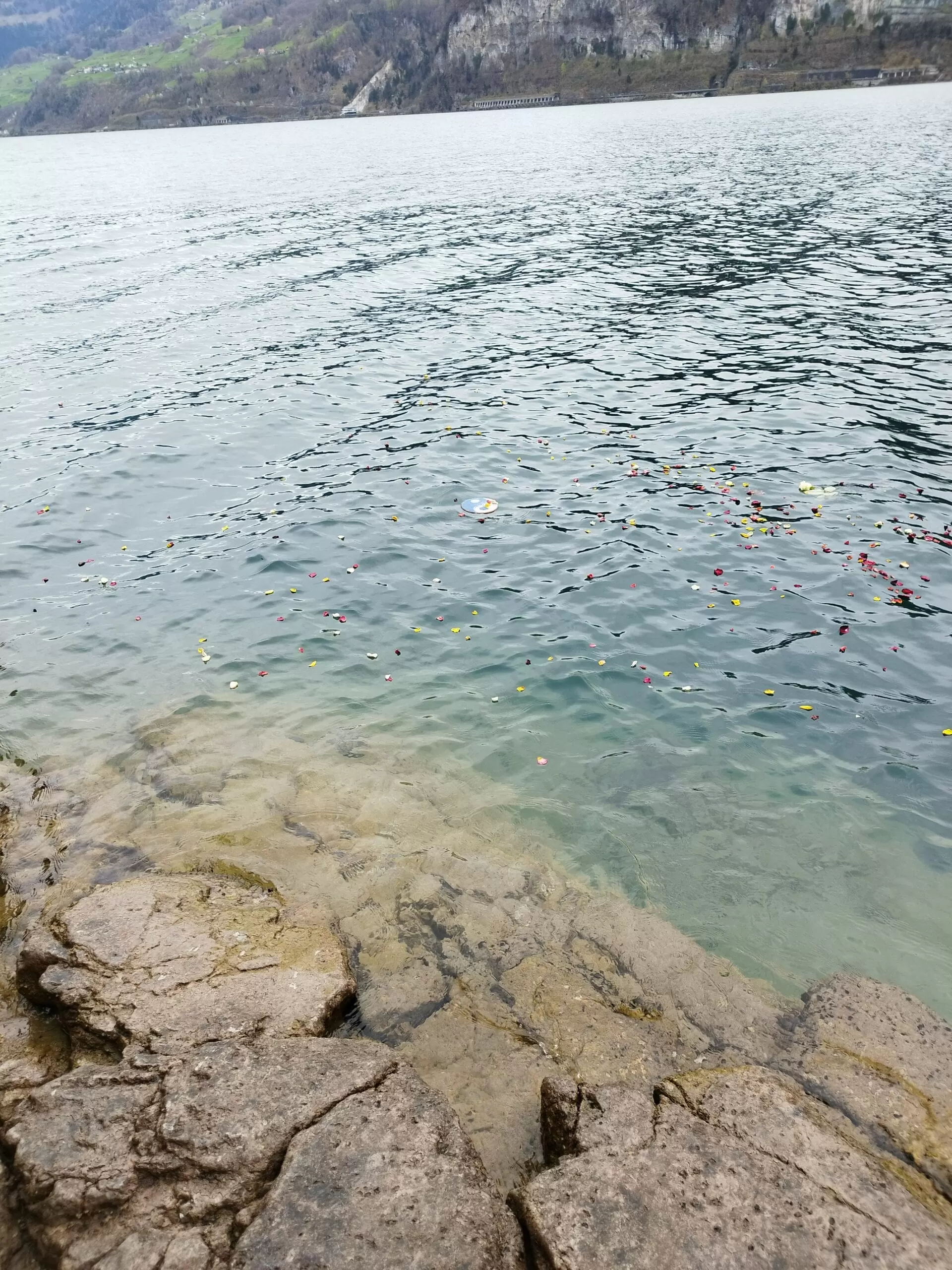 Trauerfeier am See - Trauerredner - Zen Meister Vater Reding