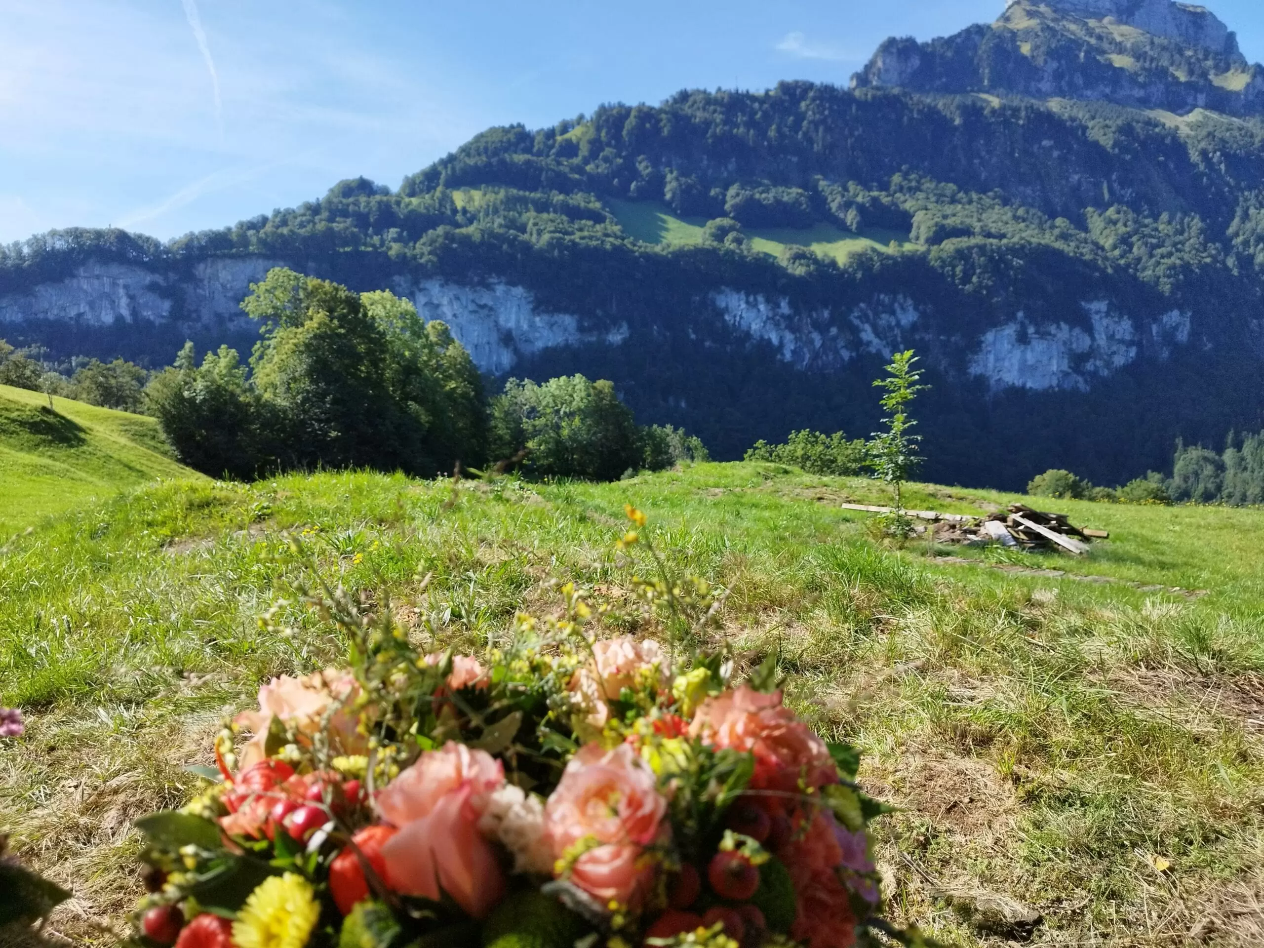 Beerdigung - Trauerredner Zen Vater Meister Reding - Seelisberg Uri